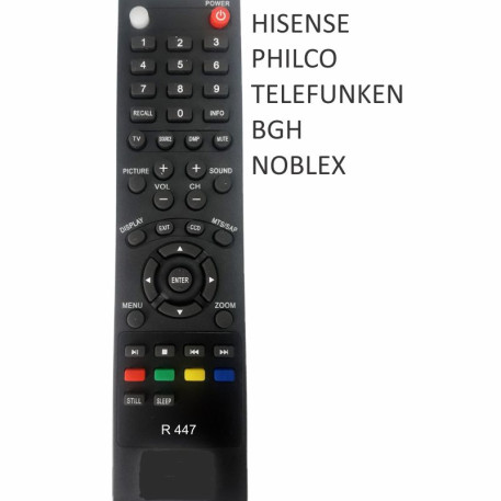R 447 Control Remoto para TV